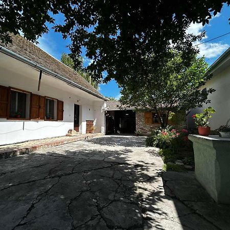 Oaza Mira Porodicna Kuca Za Opustanje Villa Apatin Dış mekan fotoğraf
