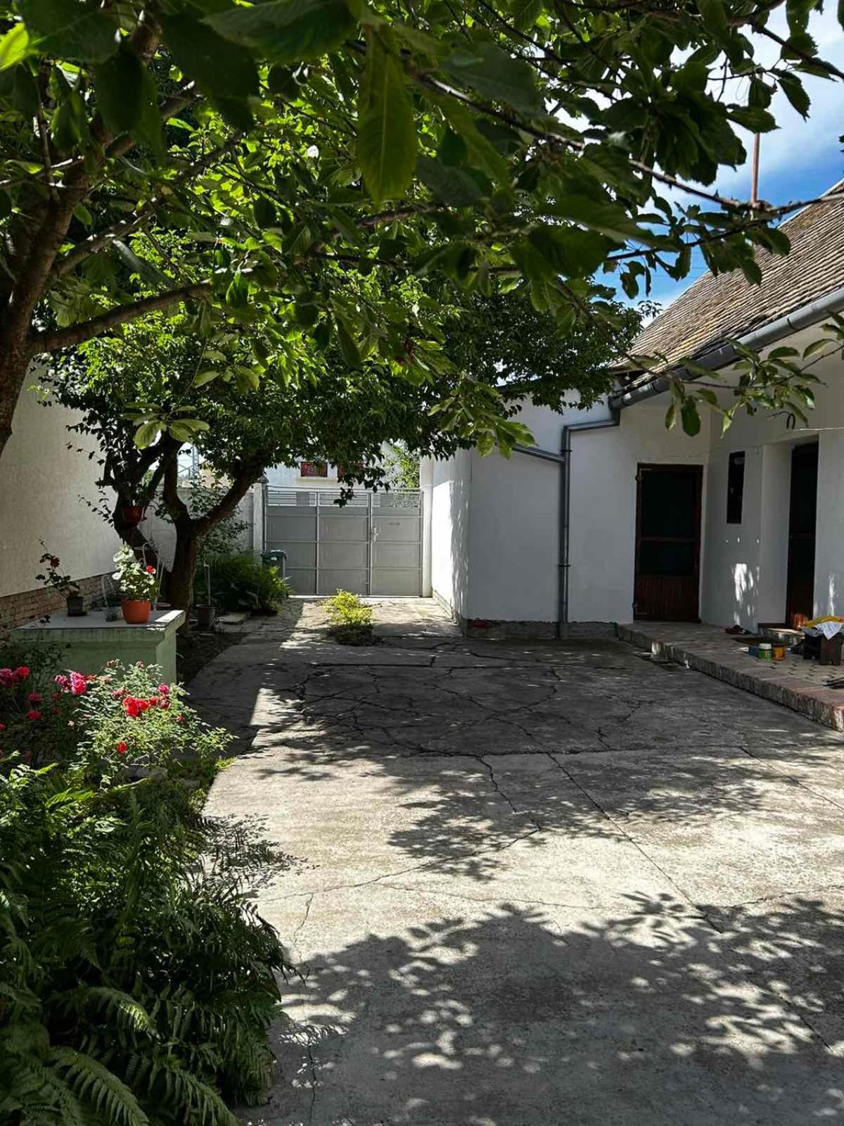 Oaza Mira Porodicna Kuca Za Opustanje Villa Apatin Dış mekan fotoğraf