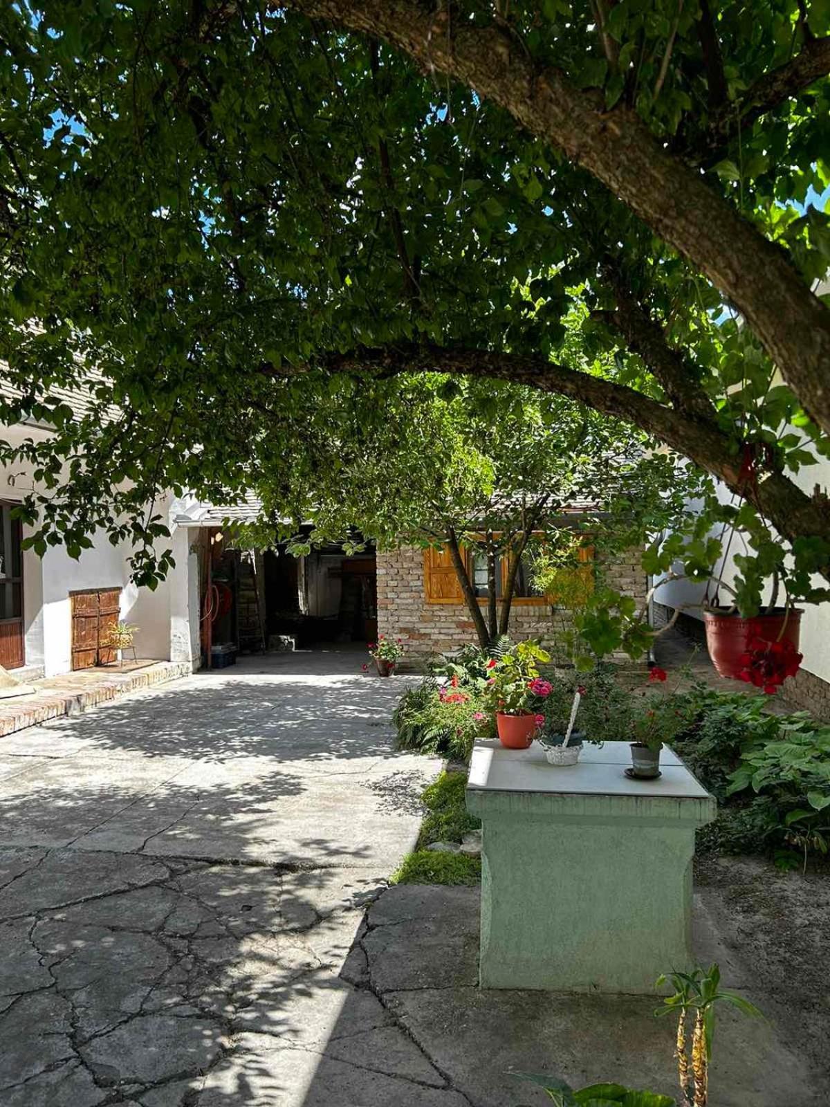 Oaza Mira Porodicna Kuca Za Opustanje Villa Apatin Dış mekan fotoğraf
